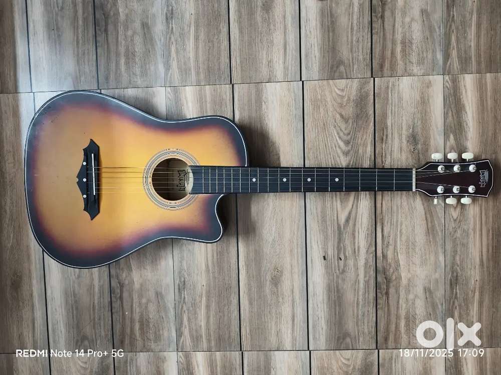 Acoustic guitar