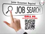 Junior Accountant