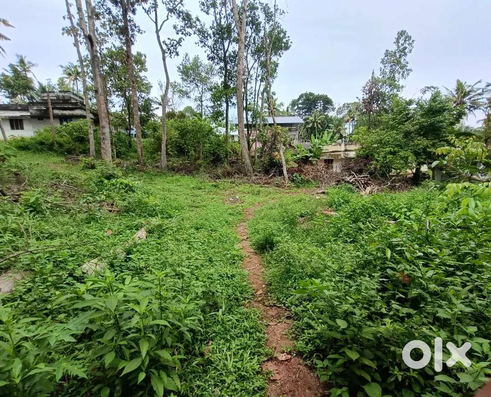 10 Cent Residential Land for Sale (Price Negotiable)