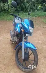 Saluto 2018-19