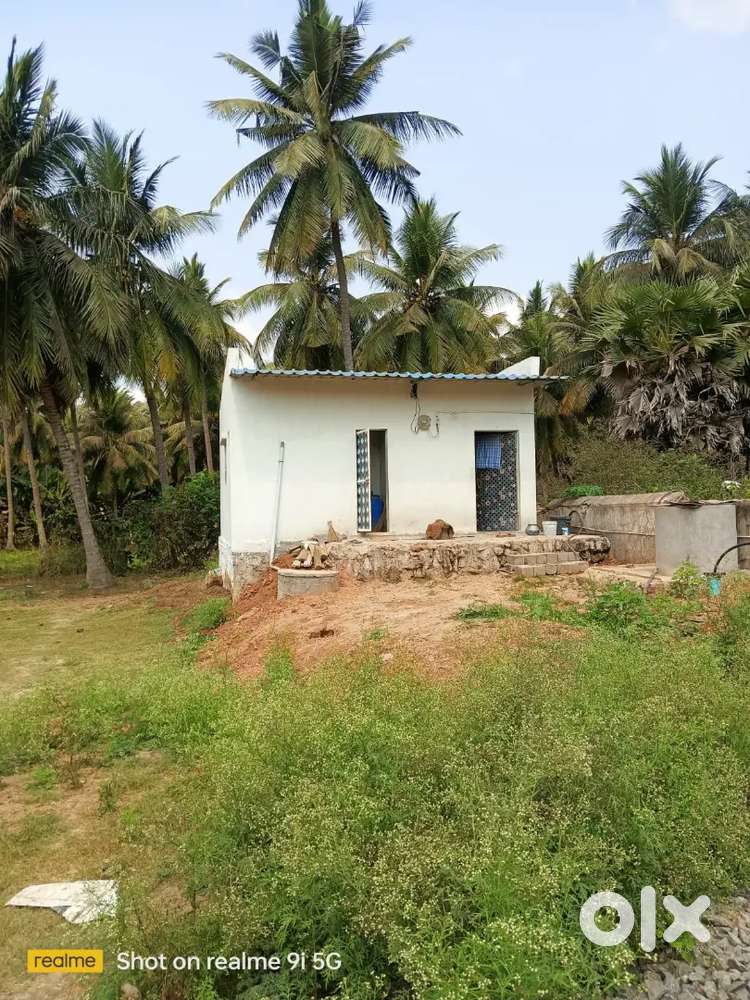Location thondangi near sivalayam- 533408