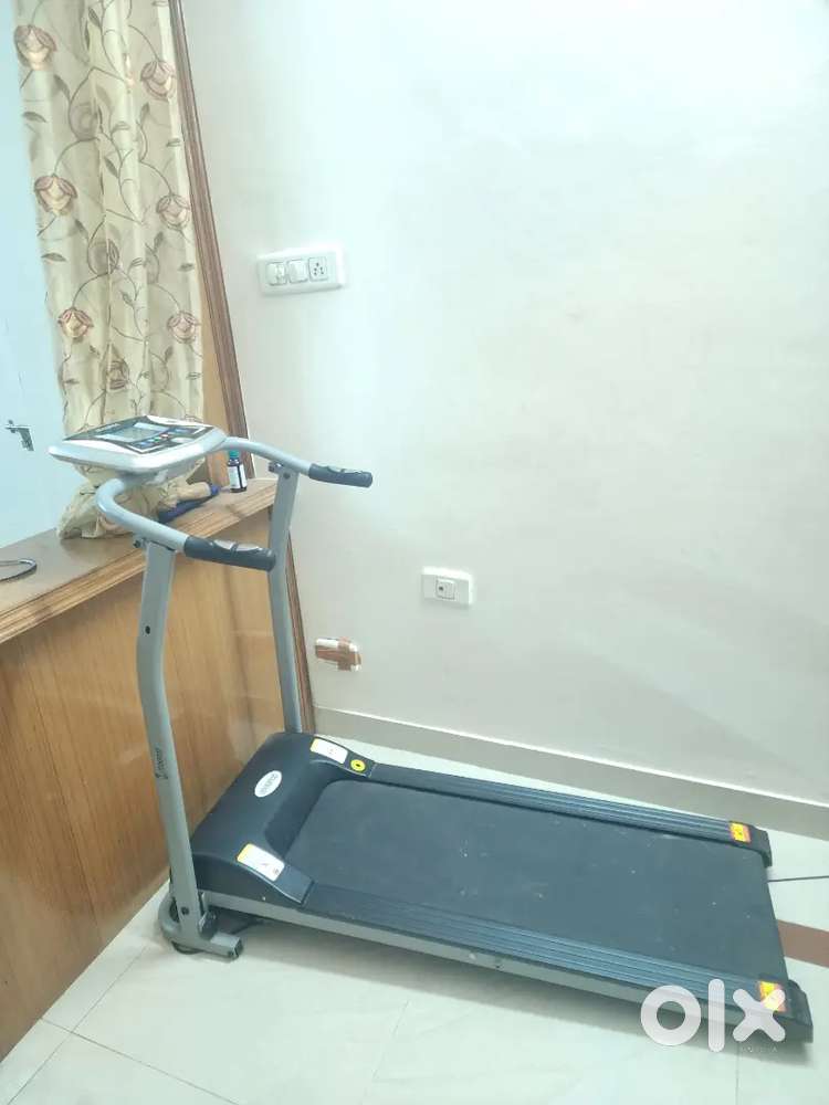 Cockatoo treadmill