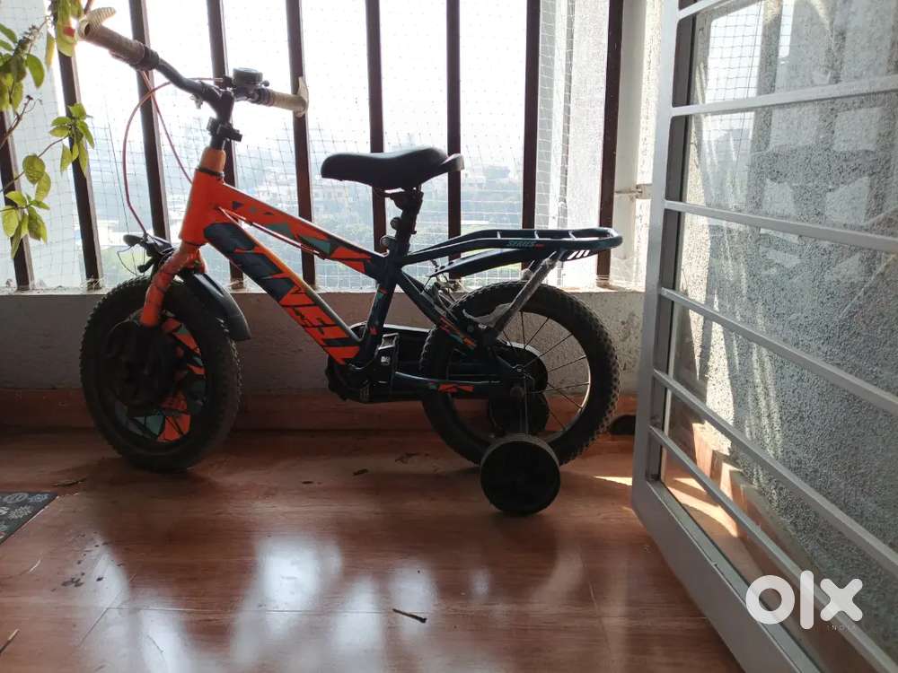 Kids bicycle( Raneel company )