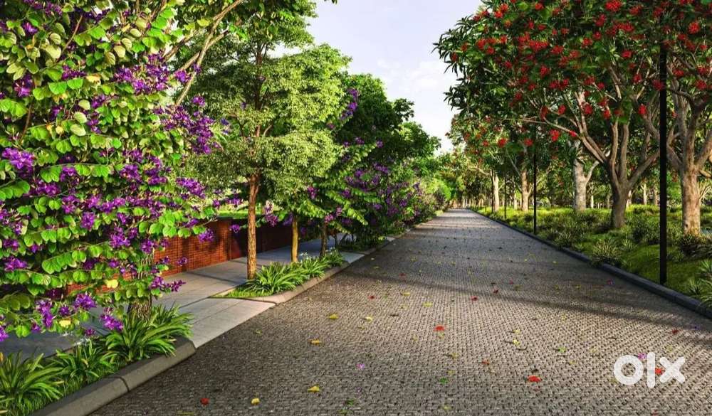 60x30 site at Total Environment- Tangled Up In Green