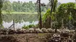 Beautiful river side property near Koratty & Cochin Airport