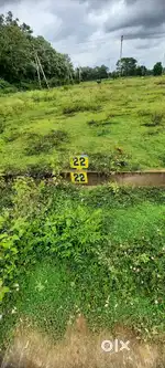 Site for sale