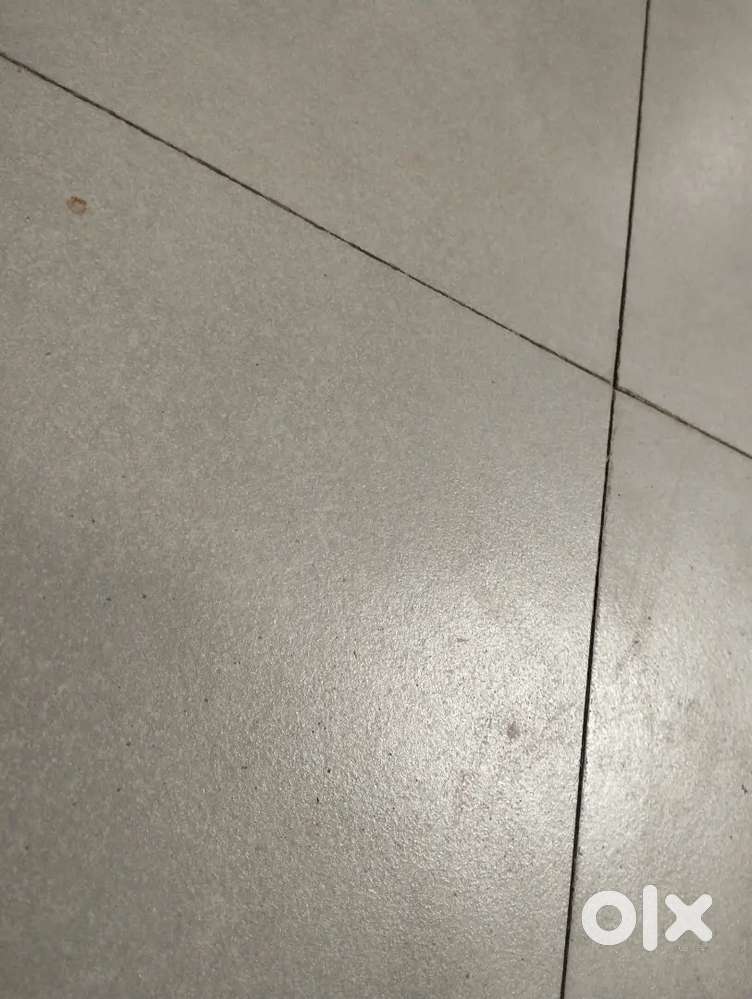 Looking for roommate near poonawala fincorp, Koregaon Park