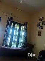 Only auto can enter the road genuine buyers