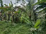 50 cent house plot for sale