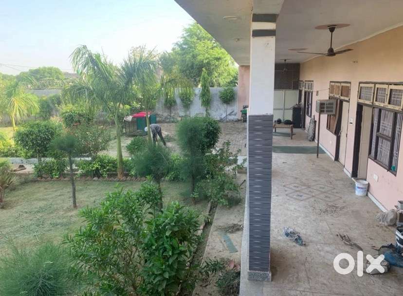 Factory/Commercial/Warehouse for rent in Dankaur