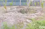 13 cent plot chetala railway station സമീപം