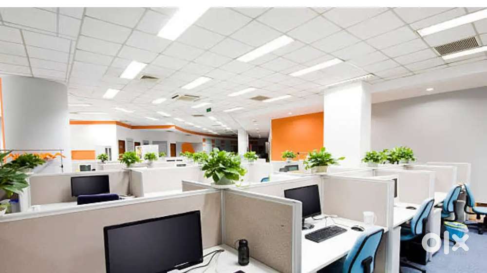 Need for staff girls & ladies Reception Tellecaler assistant manager