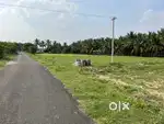Land / Agricultural land