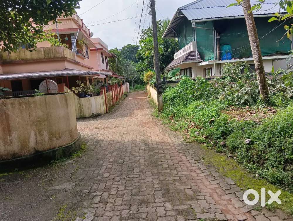 Thiruvanyoor, chirakkattuppara 26cent plot for sale.