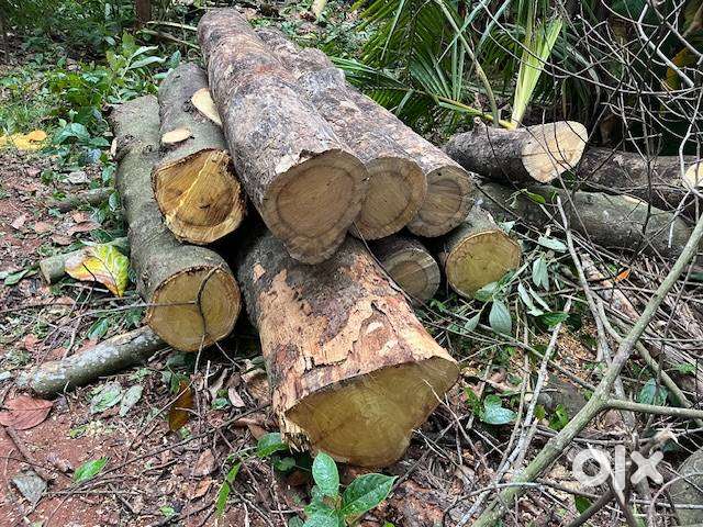wood for sale