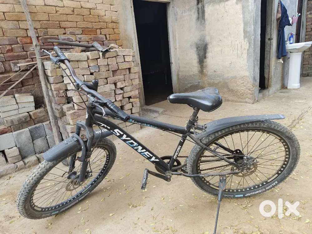 1 year 6 month old cycle