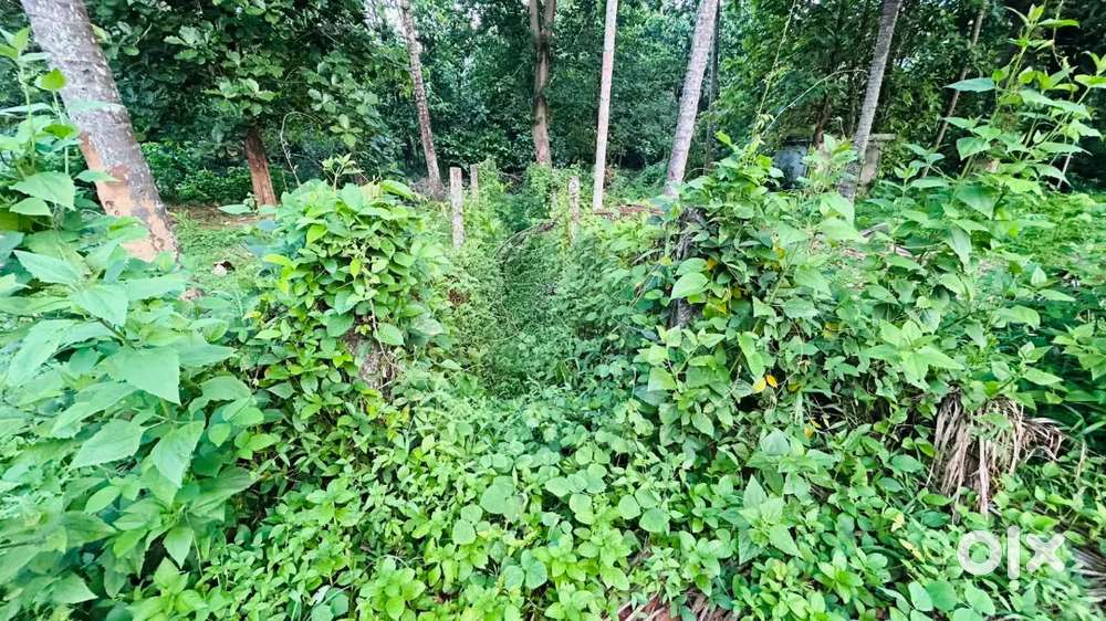 82 cent land for sale