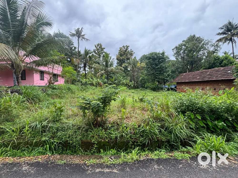 7 cent plot for sale