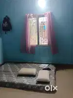 Roommate required