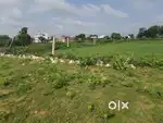 Beast Plot