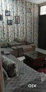 5 setar sofa