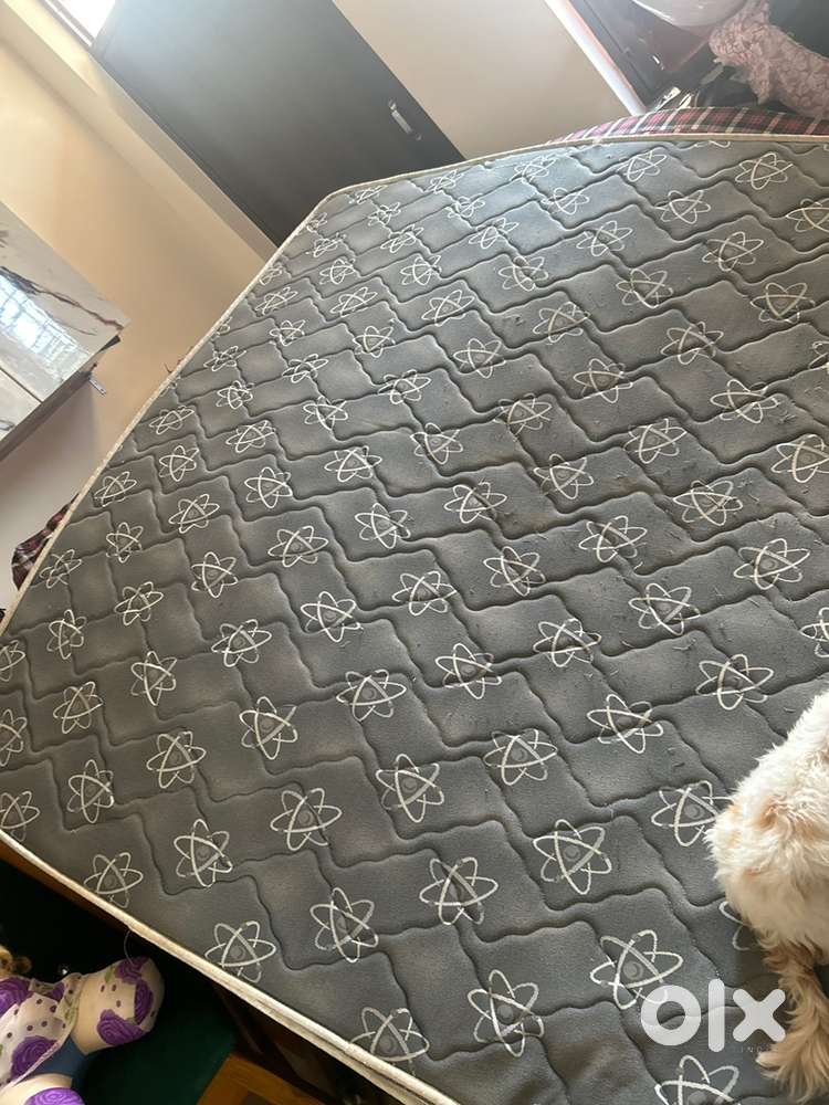 Only 6month old double bed and comfortable grief
