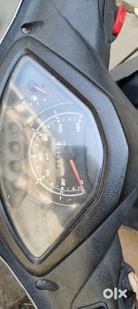 Ist owner mouse colour