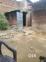 House rent