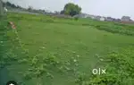 मायजा में 11 बीघा जनरल जमीन