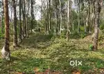 Lands & Plots