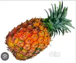 Fruit and Vegetable