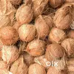 Semi husked coconuts for sale