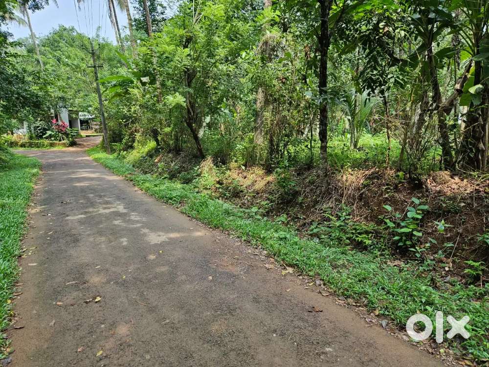 Plot For Sale - KOOTAKKALAM, EDOOR, IRRITY