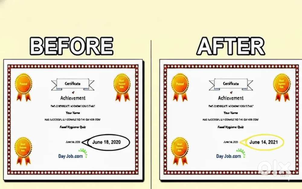 Pdf Document Editing at low price msg me