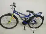 Avon brand cycle