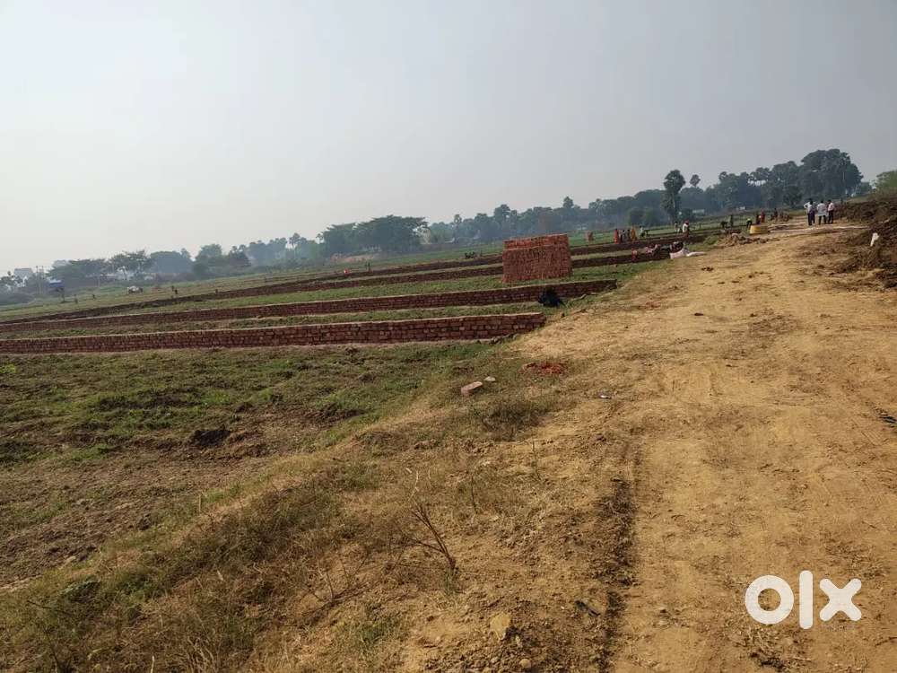 Contact for plot in beldarichak