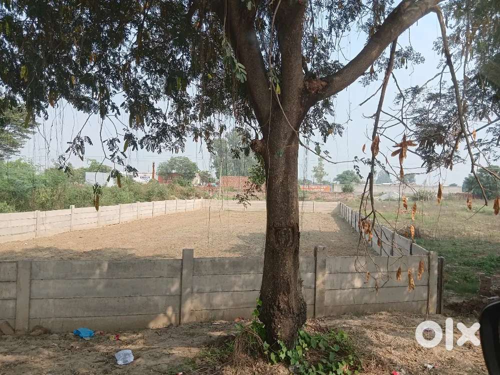 1000 guj plot Near Sbji Mndi Snpt Rd Gohana