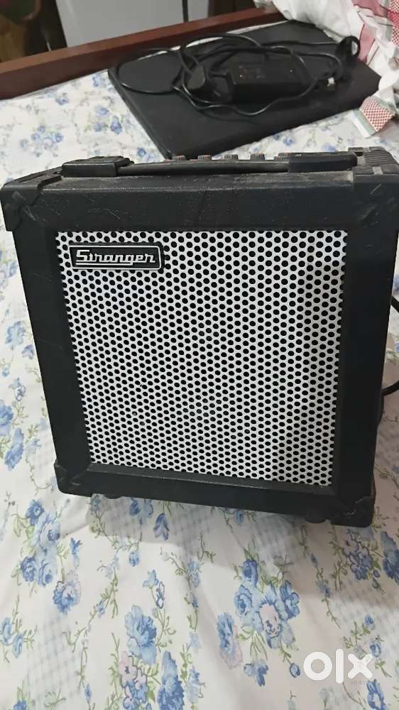 STRANGER amplifier box for Guitar, Banjo, Singing & Song play.