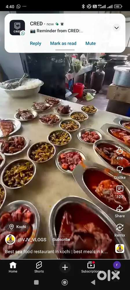 Lady cook for hostel