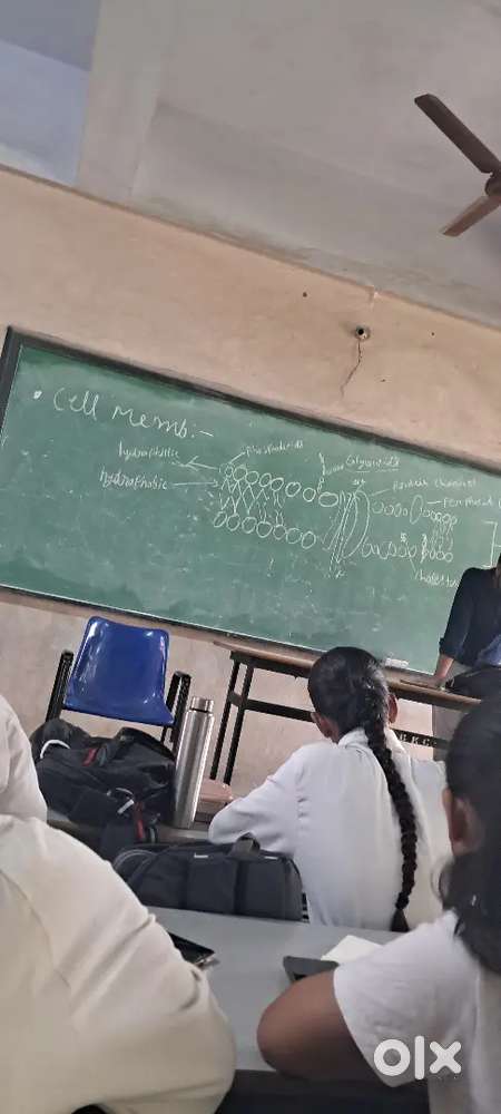 All subjects tuition available