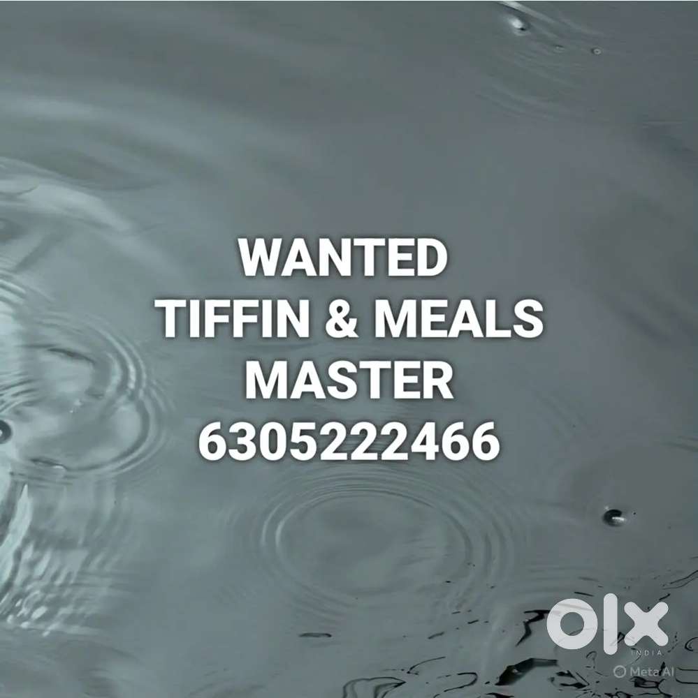Tiffin & meals Chinese fast food master