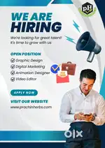Graphic designer, Animation designer, Video Editing.