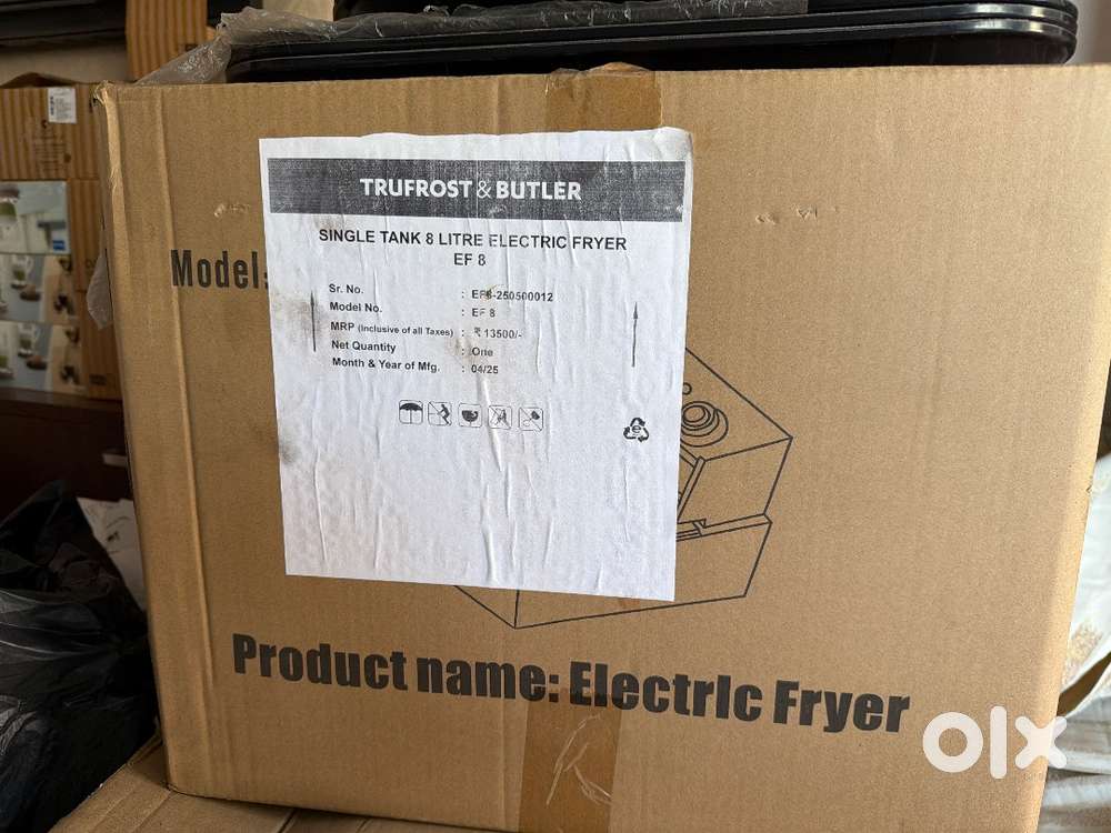 Electric fryer