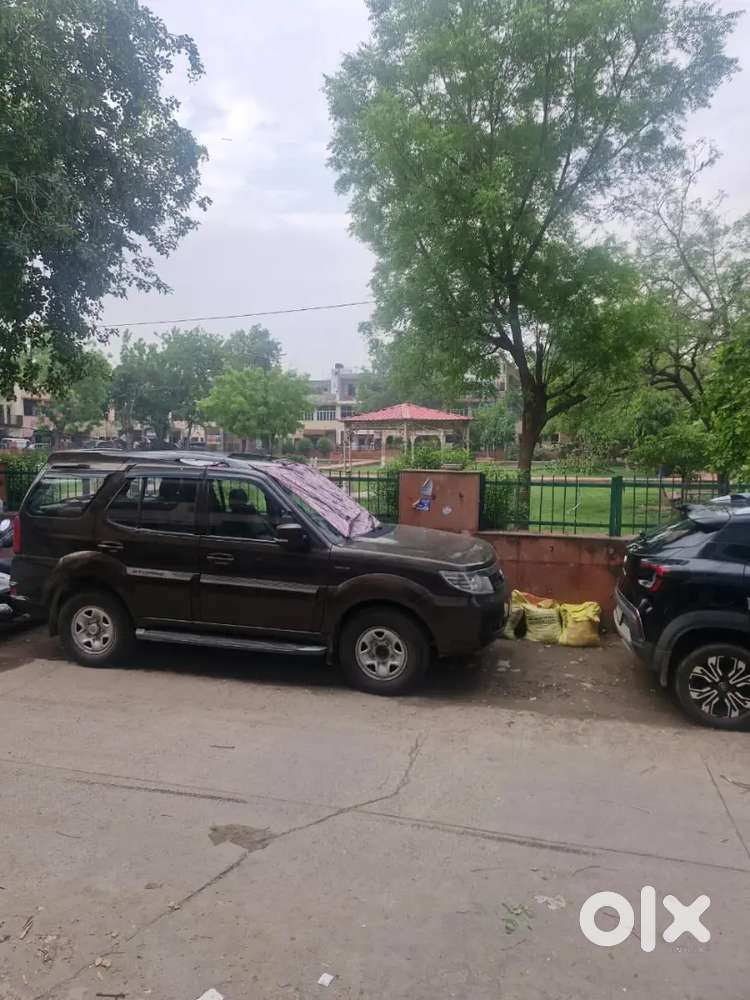 Want a boy for real estate office