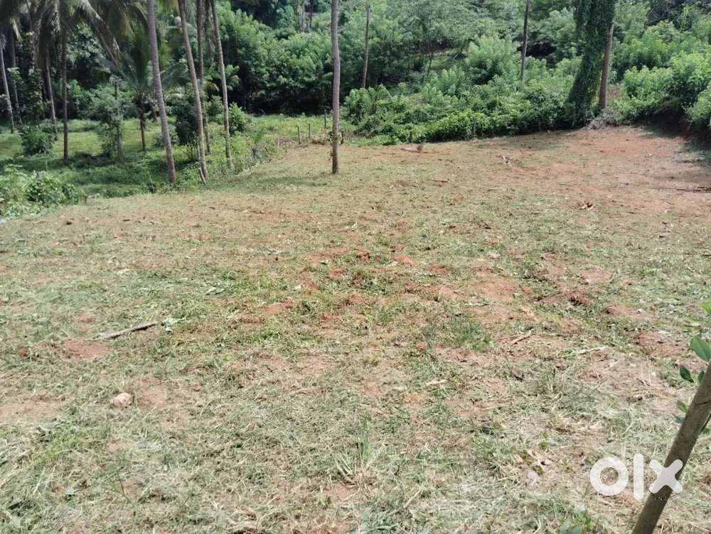 Land for sale at VANIYAMKULAM