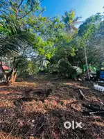 11 cent original land for sale near forum mall