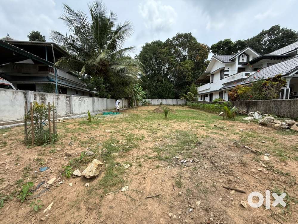 12 Cent square plot witj compound wall for sale near Medical Mission