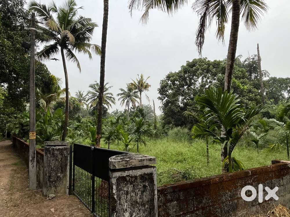 Multi purpose plot @ Atthani - Nedumbassery