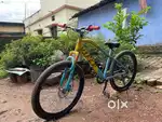 Hero Viper MTB Cycle  Custom Painted  Needs Minor Repairs
