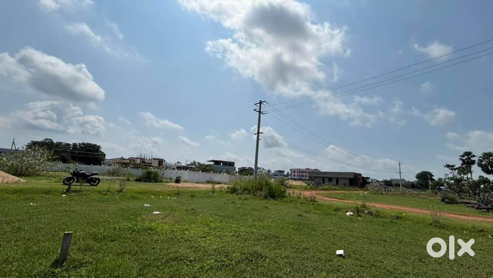 Approved layout site for sale..